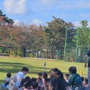 근로복지공단임실군어린이집 | 임실 공설 운동장 가을 나들이 | 가을 바람 송송 🍂🍃