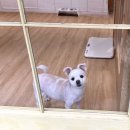 그루밍 타임 이미지