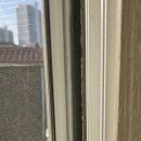 동아방역개발공사 | 부평 해충방역, 바퀴벌레는 때와 장소를 가리지 않는다. 유입경로 차단이 해결책 (벌레자비 방역 후기)