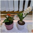 수원천로 407번길 | 수원순환관리 수원 최고의 마사지, 약손강선생 후기