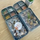 푸줏간울산무거점