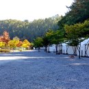 플로렌스 글램핑&캠핑 이미지