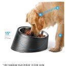 바른식사