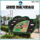 명품가로숲길 이미지