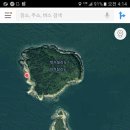 충무김밥고성할매 이미지