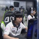 판테라