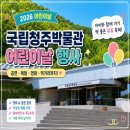 국립청주박물관 | 아이랑 하루 순삭 청주 어린이날 행사 국립청주박물관 방문 후기 체험 공연 총정리