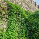 송천초등학교병설유치원 이미지