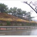 남목작은도서관 이미지