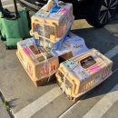 멜로디펍스 이미지