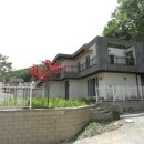 서리로101번길 이미지