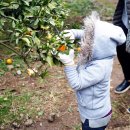 해맑은농장 이미지