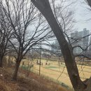 다목적 잔디광장[도농-3] | 다목적 잔디광장 파크골프장을 가다(왕숙파크골프장)