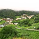 할로브리즈 이미지