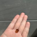 라이프트리 이미지