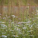 떼제베 골프연습장 이미지