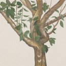 2018 ACC 창작공간네트워크 레지던시 오픈스튜디오 | [2025.12.4-21] 자연 곁 [갤러리 휴]