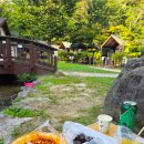 영주아파트 원로의집 | [영주시장맛집]경상북도/영주시/영주명물대표떡볶이/40년전통 #원조랜금떡1982 포장후기!