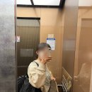 모바안