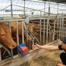 범일농장 이미지