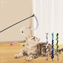 폼폼애견 이미지