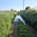 데이비스농장 이미지