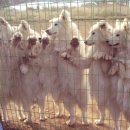 돌돌이네 이미지