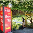 카페춘화의정원 이미지