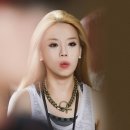 렉시 이미지
