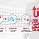 (주)쎌바이오텍 이미지