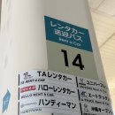 개미카 | 오키나와 태교여행 클룩 헬로 렌트카 후기(개미 주의)