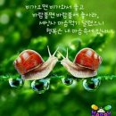 노노메디칼
