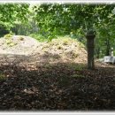 이휘조 묘 이미지