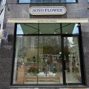 린플라워 | [ 청주 꽃집 ] 트렌디한 방서동꽃집 추천, 24시간 무인픽업 가능한 <소요플라워> 방문 후기
