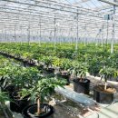 구인농장 이미지