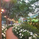 월아산 체육장 1(중간) | 진주 월아산 수국정원축제 주차정보 총정리 수국수국페스티벌 다녀온 후기