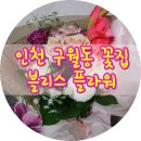 블리스플라워 이미지