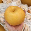 산주농장 이미지