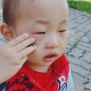 베스트이비인후과 앞 이미지