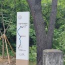 갯골자연휴양림 야영장 이미지