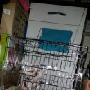 엉클장동물병원 이미지