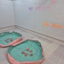 예본어린이집 이미지