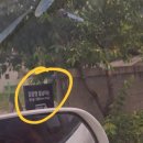 감꽃향흩날리는 이미지