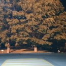 노승현경희한의원 이미지