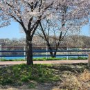 남한강로 이미지