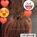 마마꿀단지