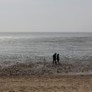 민머루해수욕장 이미지