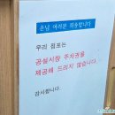 금호공설시장 | 성남중앙시장 중앙칼국수 / 분당 사송동 애견동반 카페 크레마팜 후기