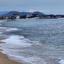 바다정원 이미지