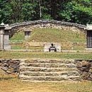 최씨고집 이미지